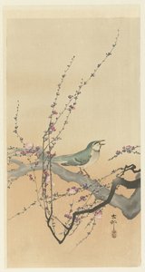 Pájaro cantor y flor de ciruelo. de Ohara Koson