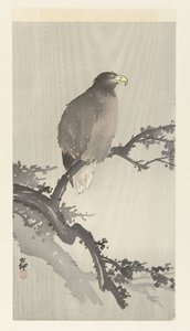 Águila calva en rama de Ohara Koson