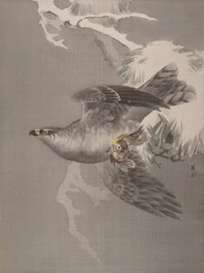 Halcón sosteniendo un pájaro pequeño, ca. 1891-92 de Okada Baison