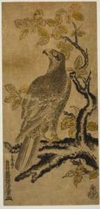 Un halcón en un árbol de kiri de Okumura Masanobu
