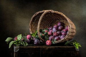  de Olga Aleksandrovna