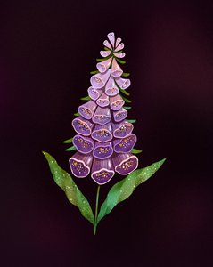 Elegante dedalera púrpura de Olga Skomorokhova