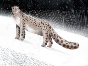 Noche de invierno con leopardo de las nieves de Olga Skomorokhova
