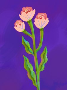 Trío floral lleno de color de Olga Skomorokhova