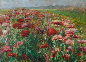 Amapola floreciente de Olga Wisinger Florian