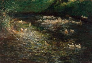 estanque de los patos de Olga Wisinger Florian