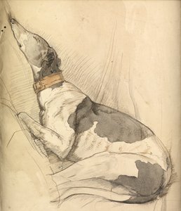 Galgo Durmiendo de Olive Branson