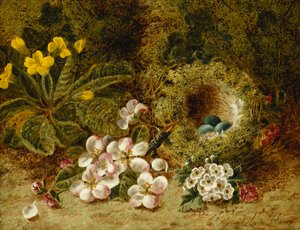 Flores de manzano, una prímula y nido de pájaros en un banco musgoso