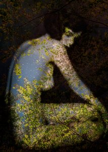  de Olivia Gozzano