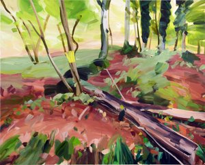 Forêt 25