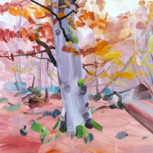 Forêt 37 de Olivier Morel