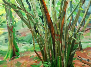 Forêt 8 le-9-enero-2015