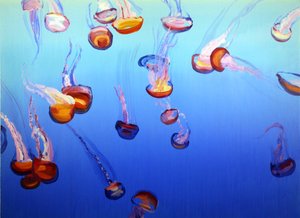 Méduses 2, 2012 (acrílico sobre lienzo) de Olivier Morel