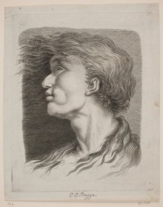 Retrato de hombre con cabello ondeante