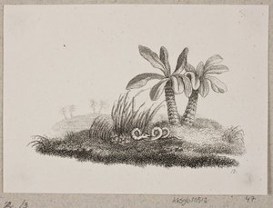 La serpiente