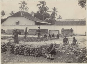 Hombres y mujeres preparan copra en las Indias Orientales Holandesas de Onnes Kurkdjian