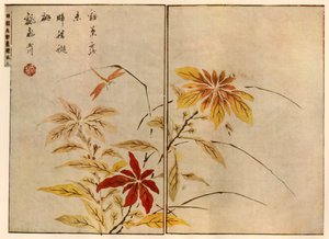 Libélula con plantas, 1746, 1924 de Ooka Shunboku