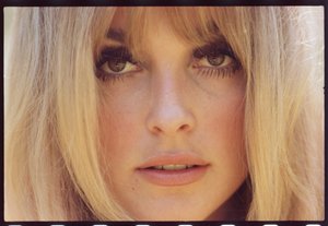 Sharon Tate