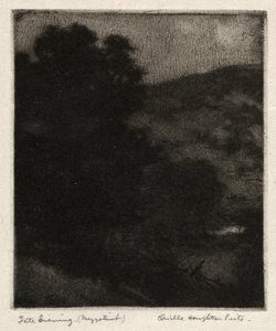 Tarde noche de Orville Houghton Peets