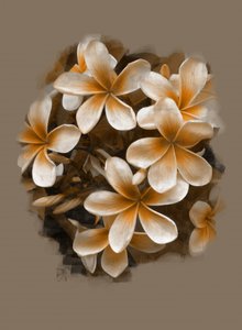 Flores de plumeria tropical de Osvaldo Russo