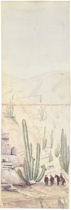 Cactus en Profunda "Quebrada", 1863