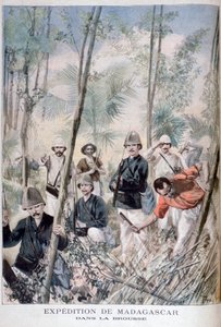Expedición a Madagascar de Oswaldo Tofani
