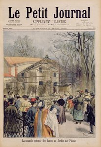 La nueva casa del gato montés en el Jardin des Plantes, de 