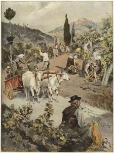La temporada de la vendimia en Italia de Oswaldo Tofani