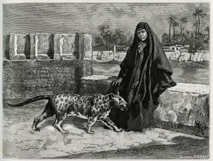 Torkan Khanoum, favorita del jeque Moses, poderoso líder tribal de Arabistán con su pantera. Grabado de Tofani, para ilustrar la historia “Persia, Chaldee y Susiane”. de Oswaldo Tofani