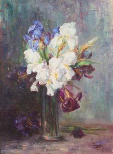 Flores