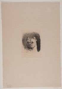 Cabeza de perro de Otto Bache