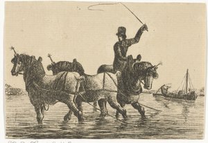 Tres caballos de tiro en el agua