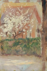Árbol de flores blancas en el patio delantero de Otto Friedrich