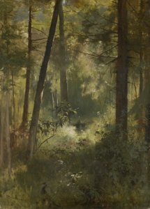 Waldinneres de Otto Gebler