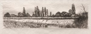 Campo de Maíz de Otto H. Bacher