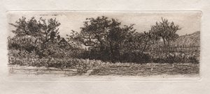 Techos y árboles de Otto H. Bacher