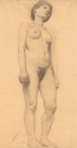 Desnudo femenino de pie