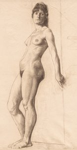Modelo desnudo de pie