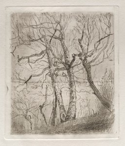 Árboles, 1878 de Otto H. Bacher