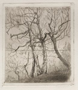 Bosques junto al lago, 1878. de Otto H. Bacher