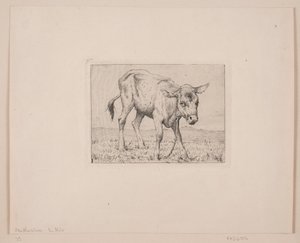 Un ternero de Otto Haslund