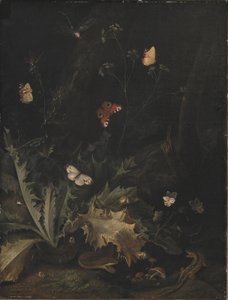 Un Suelo del Bosque con un Cardo, una Serpiente, un Lagarto y Mariposas de Otto Marseus  van Schrieck