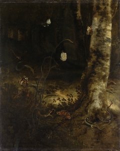 Suelo del bosque con una serpiente, lagartos, mariposas y otros insectos de Otto Marseus  van Schrieck