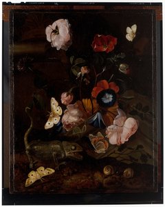 Bodegón forestal de Otto Marseus  van Schrieck