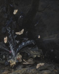 Naturaleza muerta con cardo y serpiente de Otto Marseus  van Schrieck