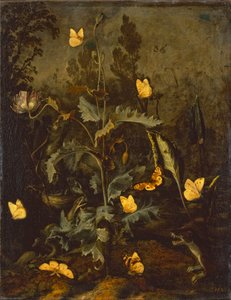 La serpiente en el nido de pájaros / Amapola de opio con nido de pájaros, serpiente, mariposas y una comadreja de Otto Marseus  van Schrieck