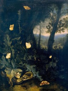 Suelo del bosque con cardo y serpiente de Otto Marseus  van Schrieck