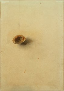 Cáscara de nuez de Otto Meyer Amden