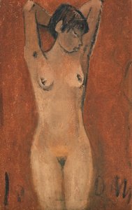 Desnudo femenino sobre fondo marrón (óleo) de Otto Mueller