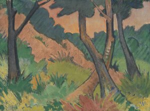 Paisaje III
